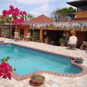Fuego Mio 3*, Santa Cruz Aruba